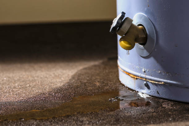 Best 24/7 water damage repair  in Colonial Beach, VA