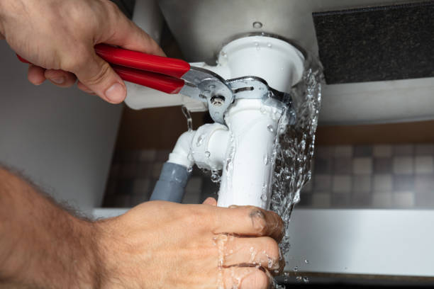 Best Local water damage restoration  in Colonial Beach, VA
