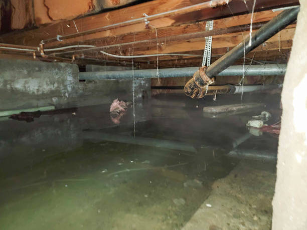 Water damage restoration experts in Colonial Beach, VA