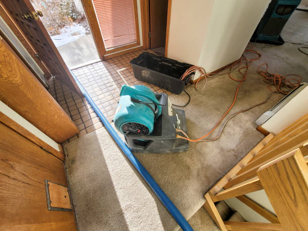 Sewage cleanup and water damage restoration in Colonial Beach, VA