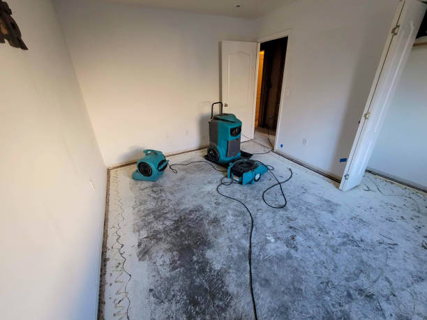 Best 24-hour water damage restoration  in Colonial Beach, VA