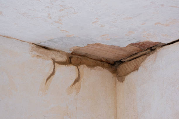 Best Basement water damage restoration  in Colonial Beach, VA