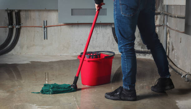 Professional Water damage restoration in Colonial Beach, VA