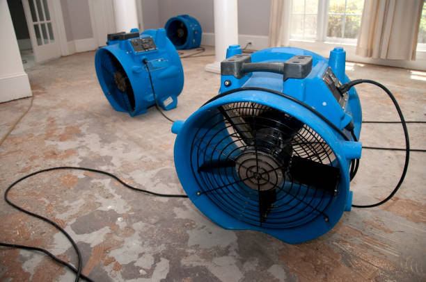 Best Residential water damage restoration  in Colonial Beach, VA