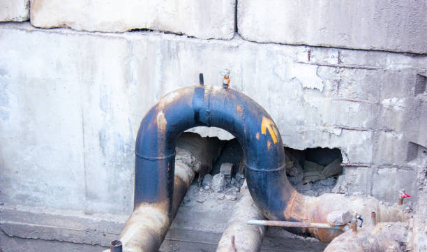 Best Water damage restoration mold remediation  in Colonial Beach, VA