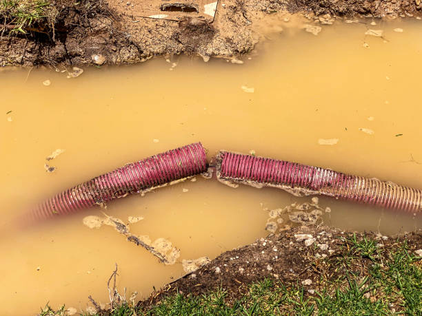 Best Water damage contractors near me  in Colonial Beach, VA