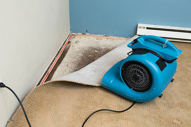 Best Flooded house restoration  in Colonial Beach, VA